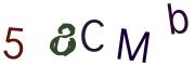 Obrázkové CAPTCHA